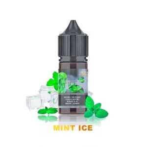 MINT ICE BY ISGO SALTNIC 30ML