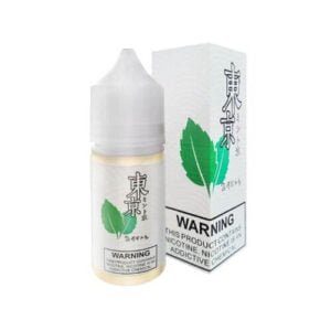 TOKYO ICE MINT SALTNIC 30ML
