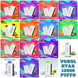 VOBEST SELLING VOZOL STAR 12000 PUFFS DISPOSABLE IN DUBAI